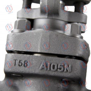 Forged steel Flange Gate Valves 1500LB