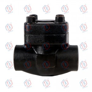 Forged steel Check Valves