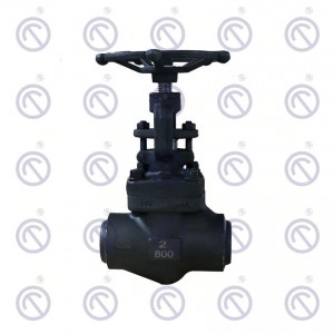 Forged Steel Globe Valve
